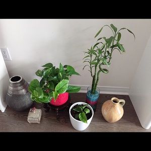 Meet your Posher, Chandrani